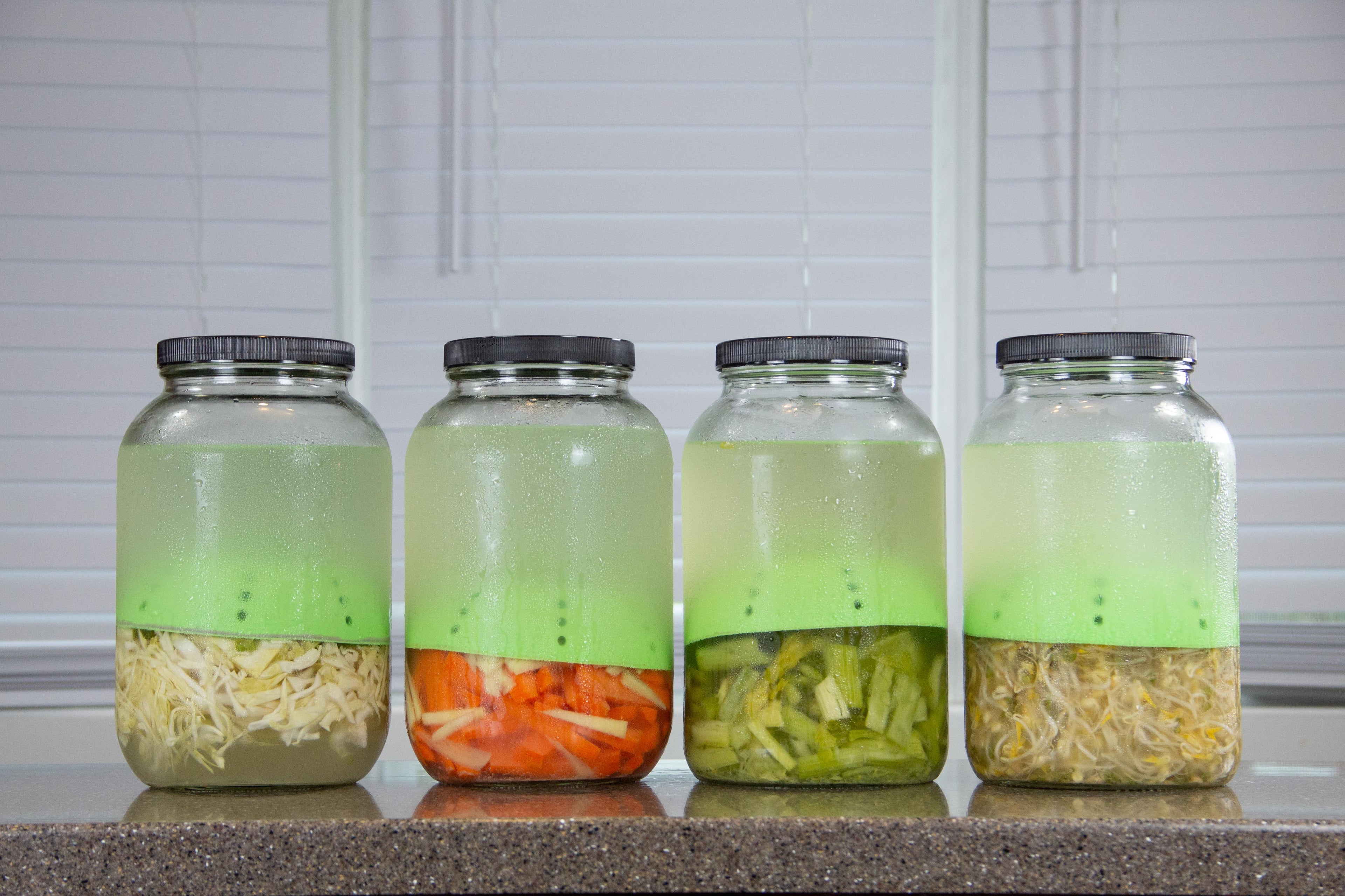 Benefits of Probiotics and Fermentation